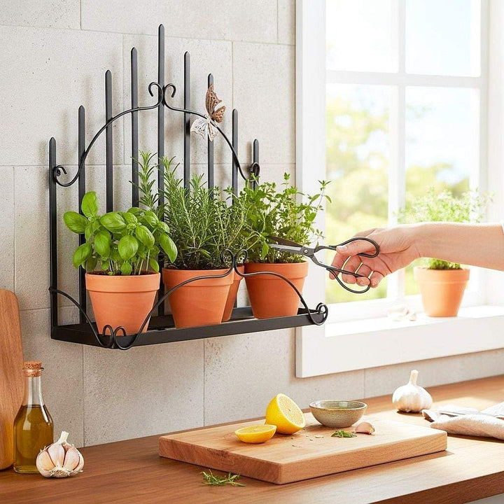 DanDiBo Kräuterregal Kücheregal Balkonregal Wand Metall Schwarz 96237 Wandregal Blumenregal Pflanzen