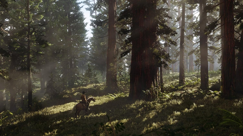 Red Dead Redemption 2 Bonus DLC Edition (deutsche Verpackung)
