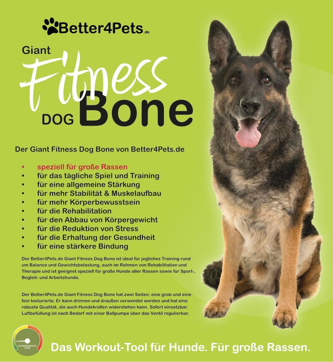 Giant Fitness Dog Bone für Grosse Hunde Balance/Kraftstation/Trainingsgerät/FITBONE/Agility/XXL/hund