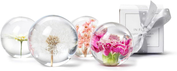 In Flore Dandelion Briefbeschwerer aus Harzglas, mit echtem Löwenzahn, 8 cm, weiss