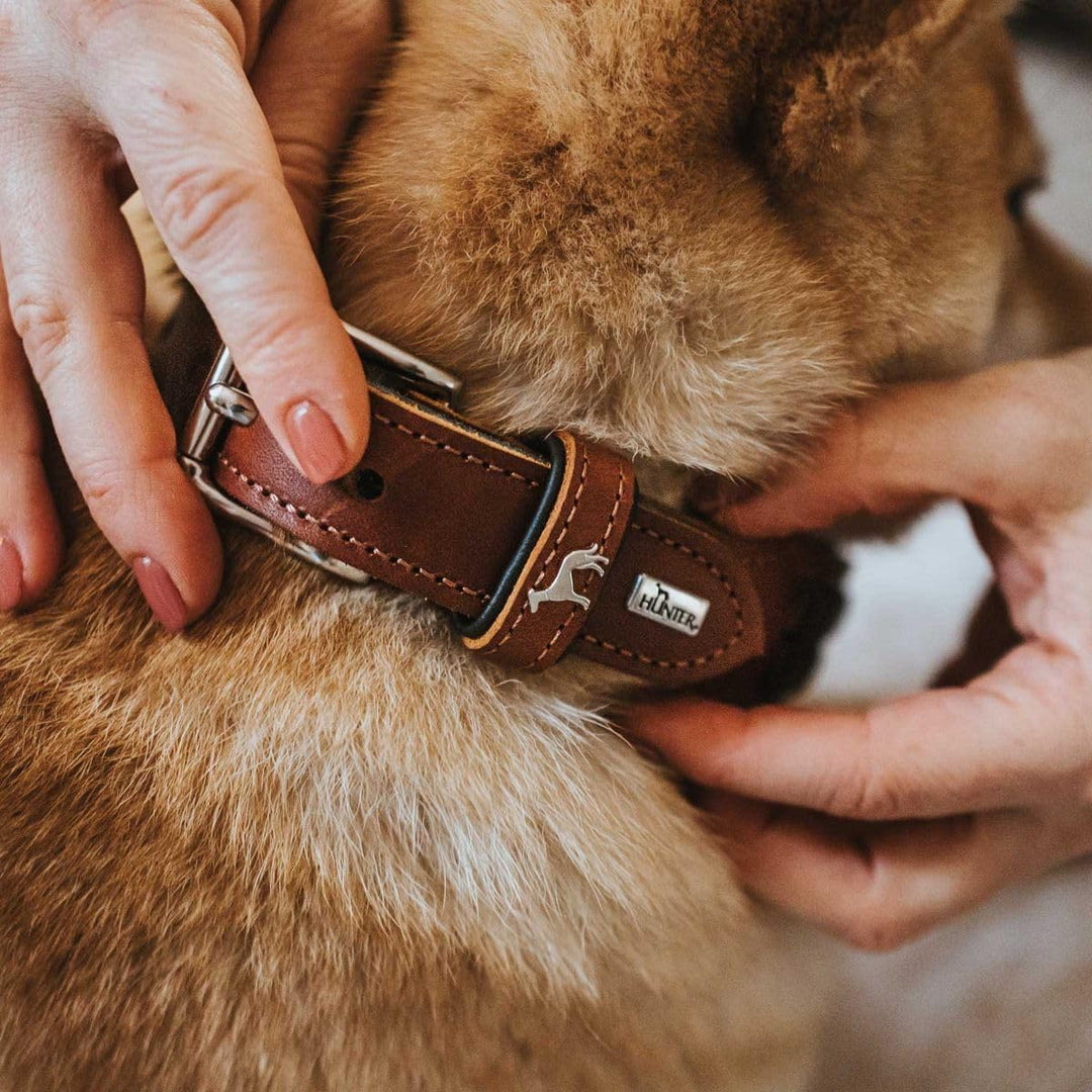 HUNTER EL PASO Hundehalsband, Leder, geschmeidig, geflochten, 50 (S-M), cognac/schwarz 50 (S-M) cogn