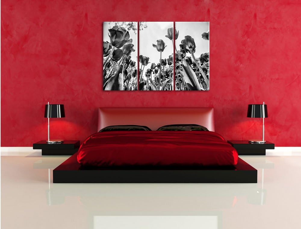 Pixxprint Rosenfeld als Leinwandbild/Grösse: 3 Teilig (120x80) cm/Wandbild/Kunstdruck/fertig bespann