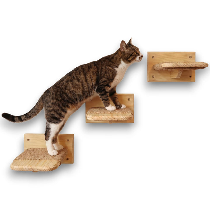 Katzen Wandtreppe aus Massivholz – 3er Set Kletterstufen für Katzen mit Juteseil – Katze Wandmöbel a