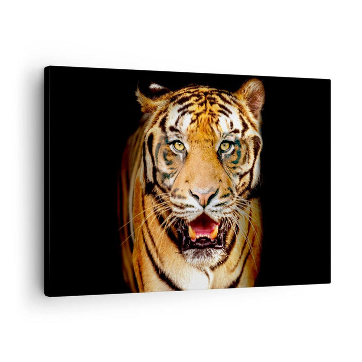 ARTTOR Bilder auf Leinwand tiger tier Leinwandbild mit Rahmen 70x50cm Wandbilder Dekoration Wohnzimm