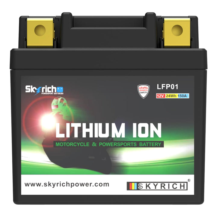 Skyrich Lithium Ion LTKTM04L ohne Pflege