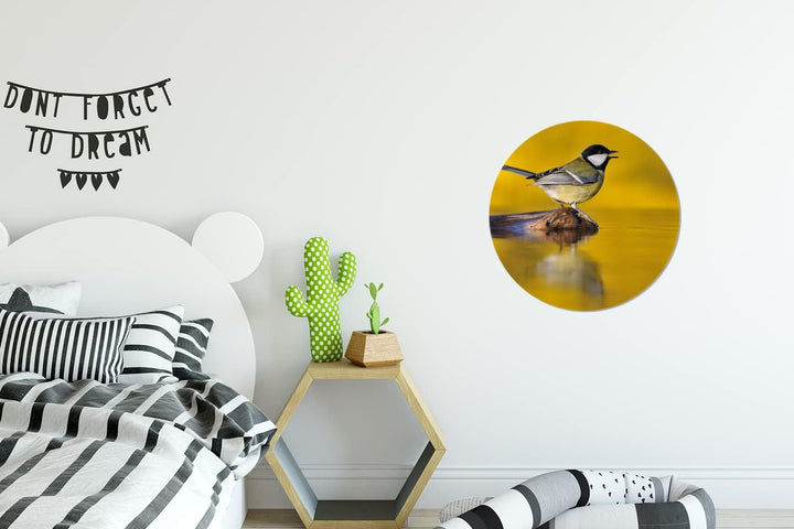 MuchoWow Wandbild Rund Wanddeko Deko Wohnzimmer Bilder 30x30 cm Kohlmeise - Vogel - Wasser, 30x30 cm
