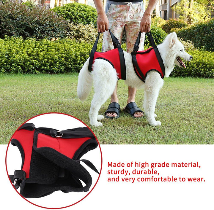 GLOGLOW Stützgeschirr für Vorder- und Rückseite für Hunde, 2 Arten, wiederverwendbar, Gehhilfe, Stüt
