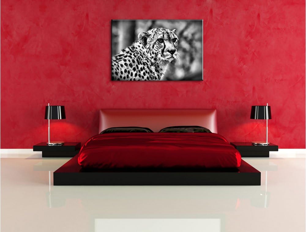 Pixxprint bildschöner Gepard als Leinwandbild/Grösse: 100x70 / Wandbild/Kunstdruck/fertig bespannt,