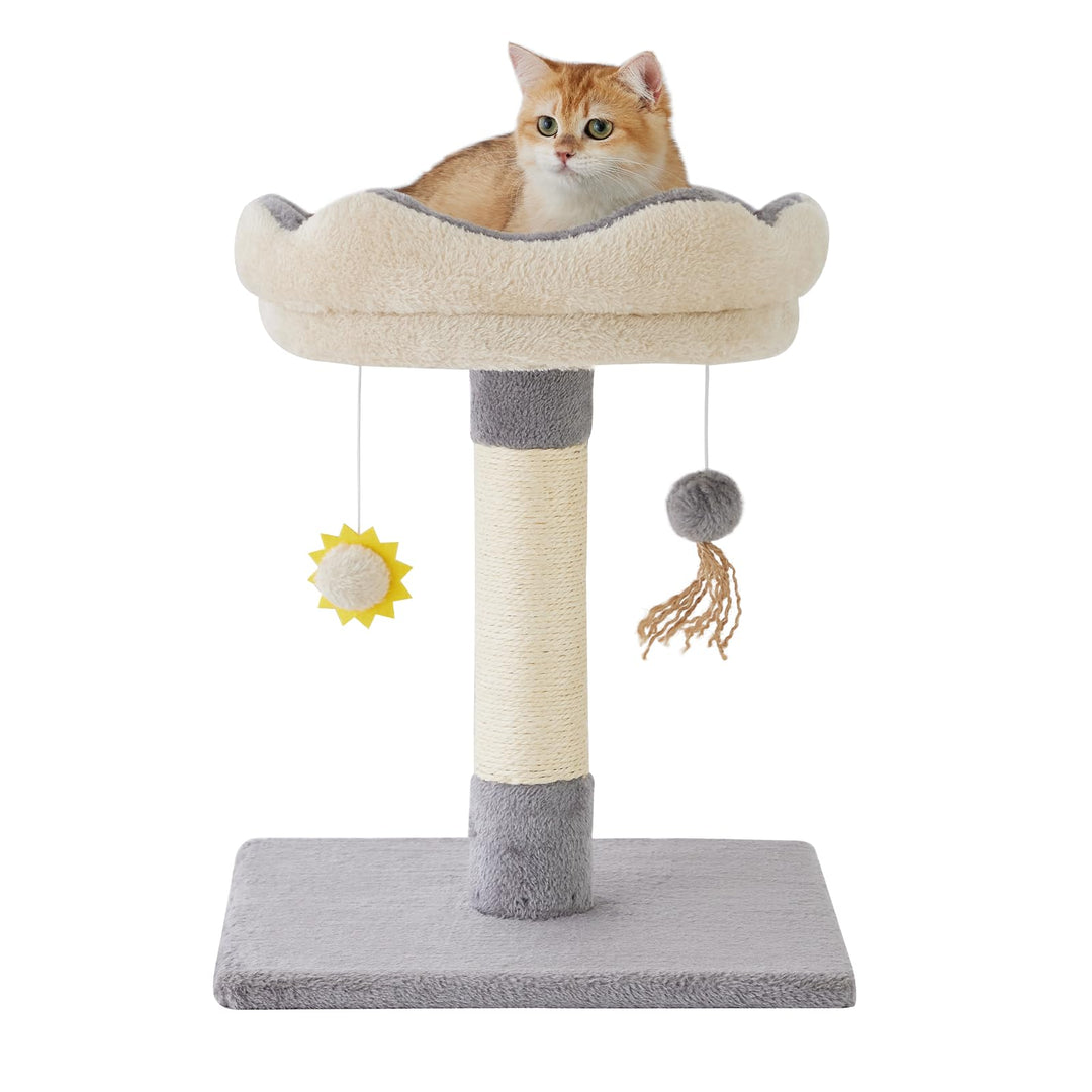 Gardner Pet Kleiner Katzenbaum, Kratzbaum klein mit 34 x 30 cm gepolsterter Plattform, 51 cm hoch Ka