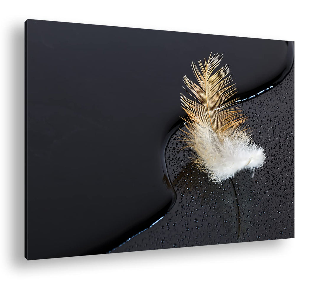 deyoli schöne Feder mit Wassertropfen im Format: 80x60 als Leinwandbild, Motiv fertig gerahmt auf Ec