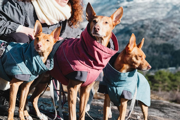 Hurtta Expedition Parka Wintermantel für Hunde, Hundemantel Beetroot, dunkel rosa 45XS Rot - Beetroo