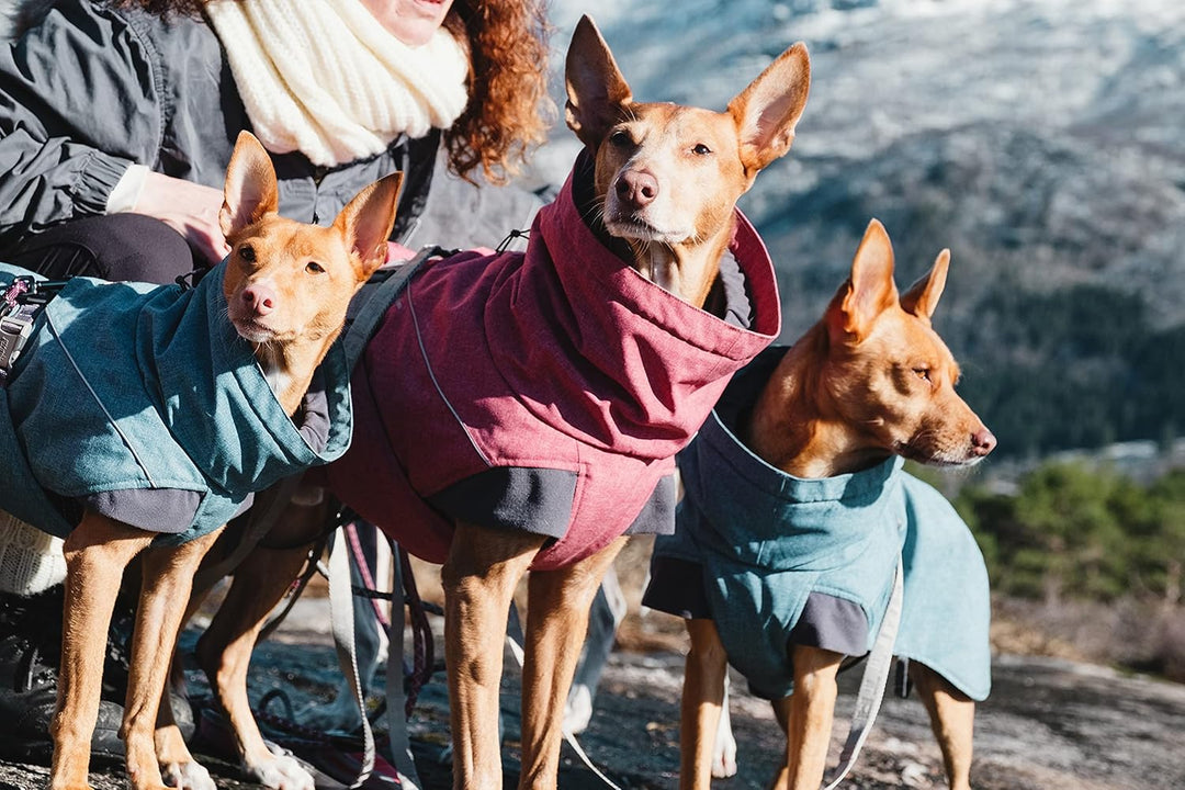 Hurtta Expedition Parka, Winter Dog Coat, Bilberry, 18XS Heidelbeerfarben 18XS, Heidelbeerfarben 18X