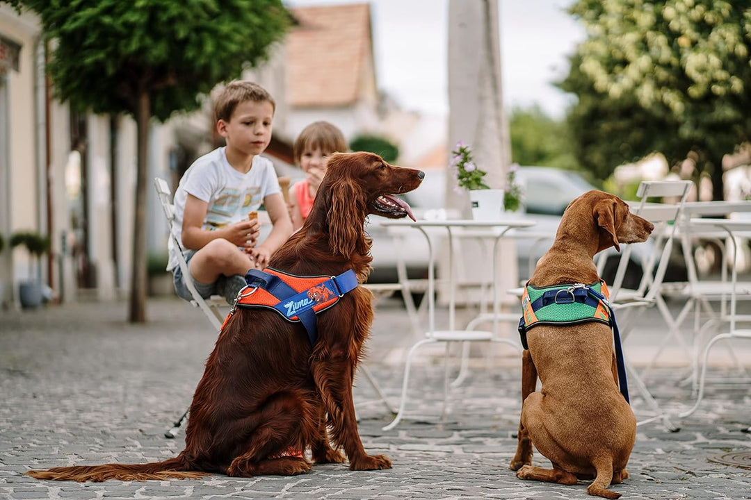 JULIUS K-9 JK9 Paw Patrol Hundegeschirr, Grösse: S/Mini, Zuma Zuma S/Mini, Zuma S/Mini