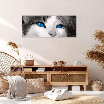 Wandbilder Dekoration Wohnzimmer Katze Tiere blaue Augen Panorama Bilder auf Leinwand 120x50cm Leinw