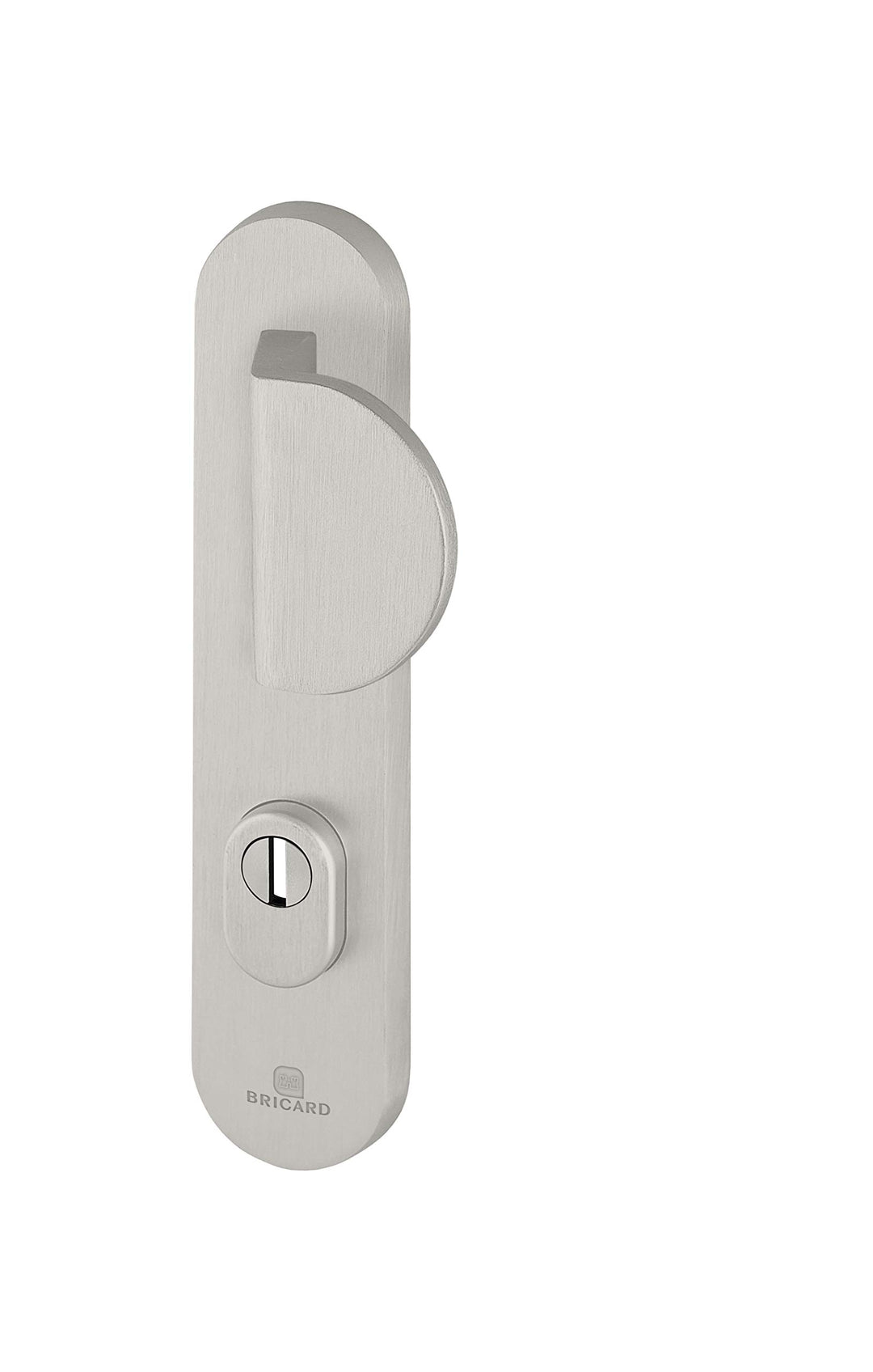 Bricard 9900051 Set gepanzerte Griffe auf Essential Plate, 9900071 Hebelgriff+Finne Silber, Hebelgri