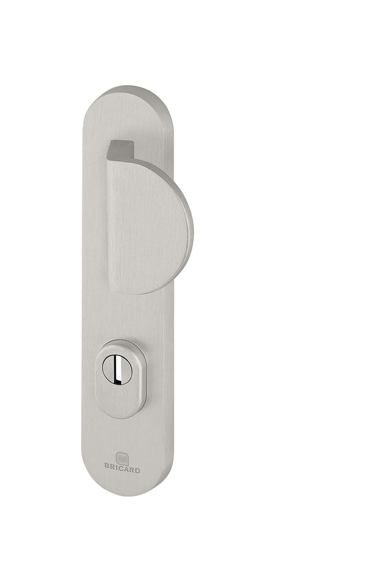 Bricard 9900051 Set gepanzerte Griffe auf Essential Plate, 9900071 Hebelgriff+Finne Silber, Hebelgri