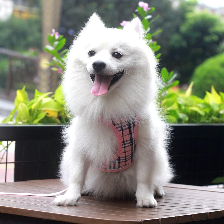 Suredoo Hundegeschirr Kleine Hunde mit Leine, Anti Zug Geschirr Reflektierend Atmungsaktiv Brustgesc