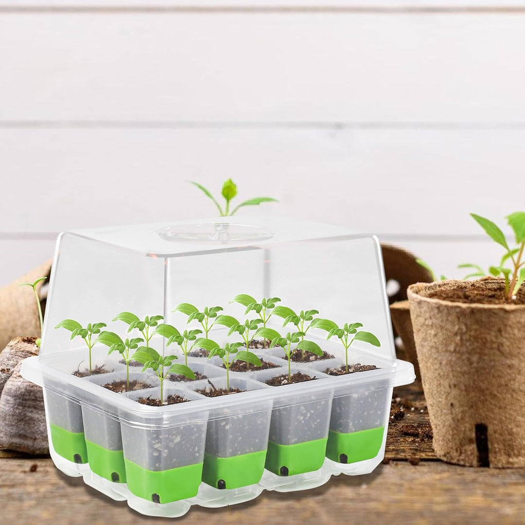 Zimmergewächshaus Anzuchtkasten: Wiederverwendbar Anzuchtplatte Topfplatte 4 Stück 12 Pflanzlöchern,