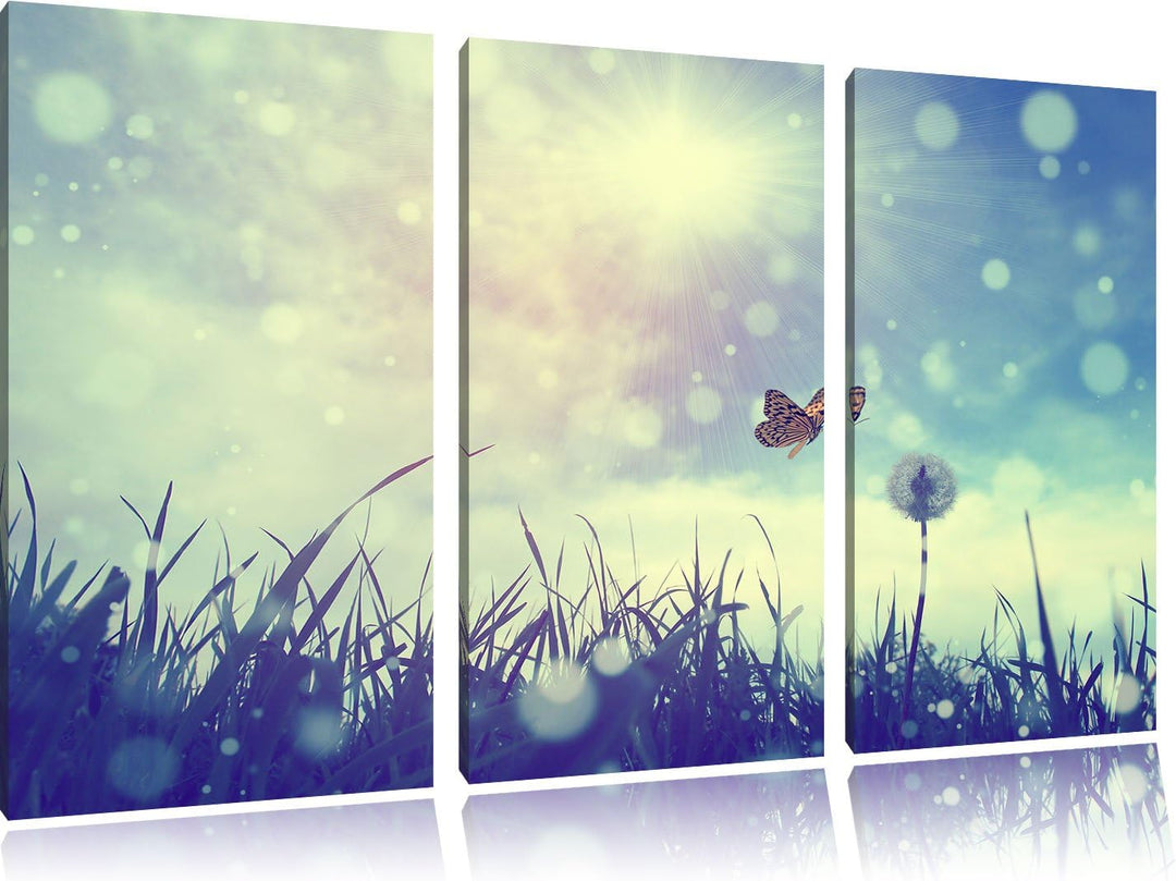 Pixxprint Schmetterling fliegt zu Pusteblume / 3-Teilig/Gesamtmass 120cm Leinwandbild bespannt auf H