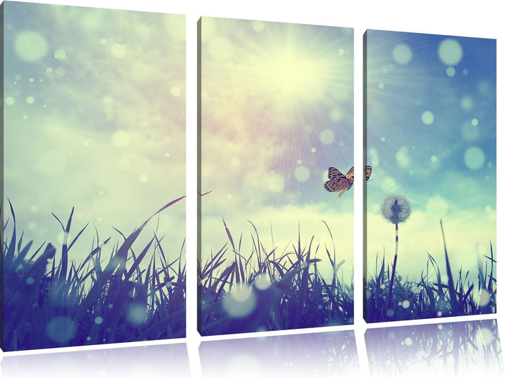 Pixxprint Schmetterling fliegt zu Pusteblume / 3-Teilig/Gesamtmass 120cm Leinwandbild bespannt auf H