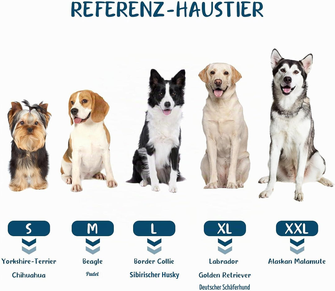 BASVII Hundebademantel aus Mikrofaser, Bademantel Hund Extra SaugfäHig und Schnell Trocknendes mit K