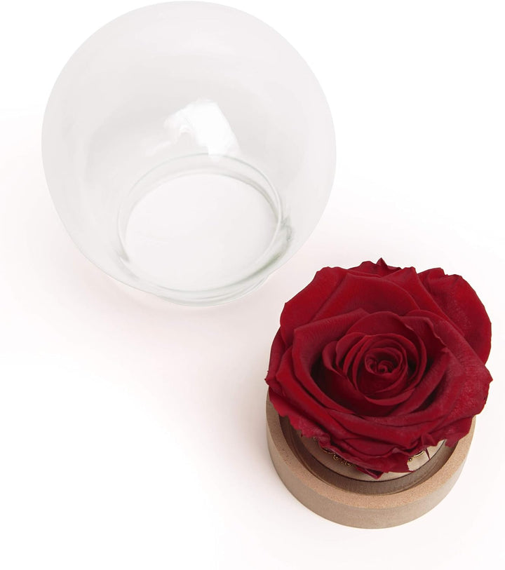 ROSEMARIE SCHULZ Heidelberg Infinity Rose im Glas echte haltbar langlebige Rose in Glaskugel (Large,
