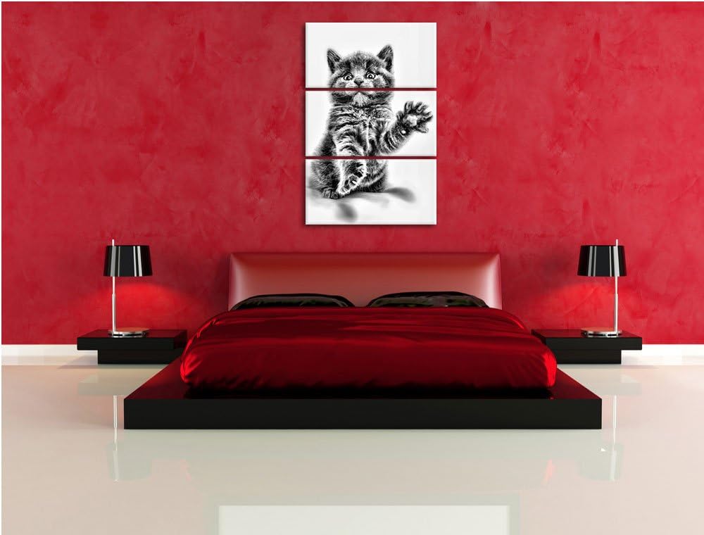 Pixxprint Babykatze die bettelt als Leinwandbild/Grösse: 3 Teilig (120x80) / Wandbild/Kunstdruck/fer