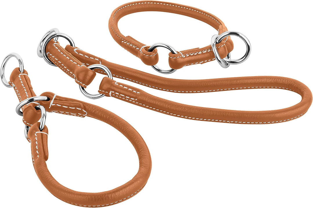 Schnüffelfreunde Zugstopp Hundehalsband aus Leder I Erziehungshalsband I Dressurhalsband I Lederhals