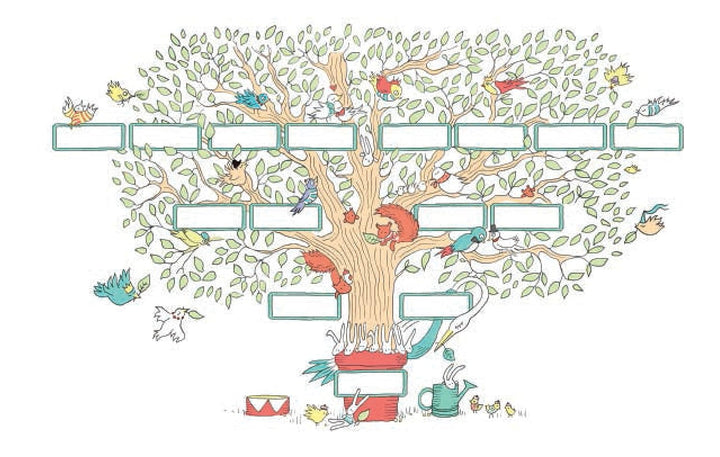 Le Petit Baby Book, Gebundenes Buch