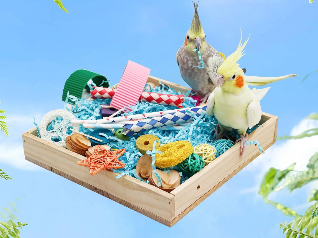 Vogel-Foraging-Spielzeugbox, Holz-Papageien-Schredder-Spielzeugbox, Vogel-Kau-Spielzeuge, Vogelkäfig