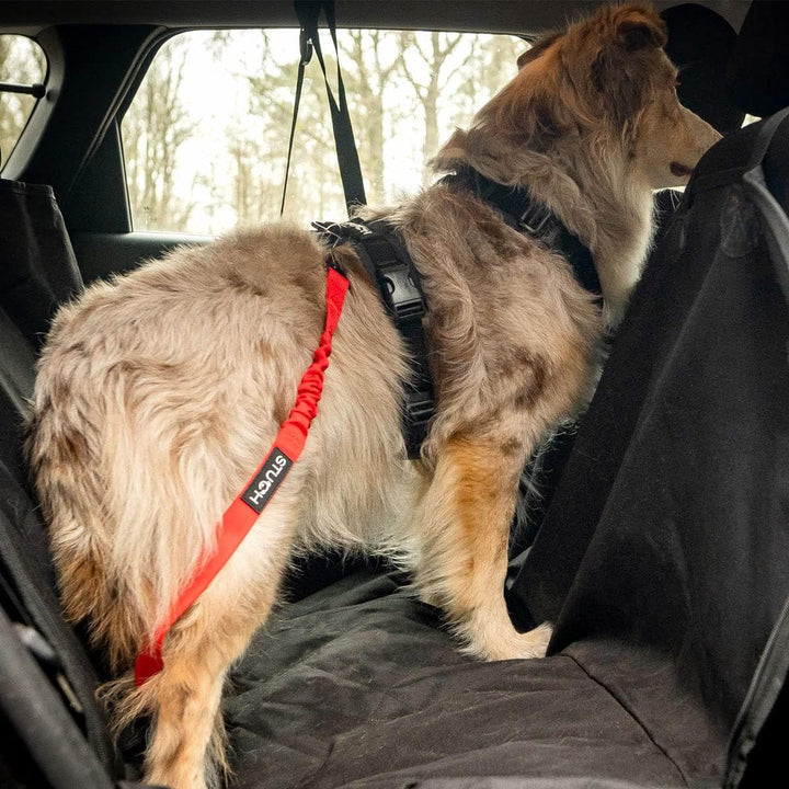 STUCH Universeller Bungee Sicherheitsgurt für Hunde & Katzen - Passend für alle Hunderassen & Autoty