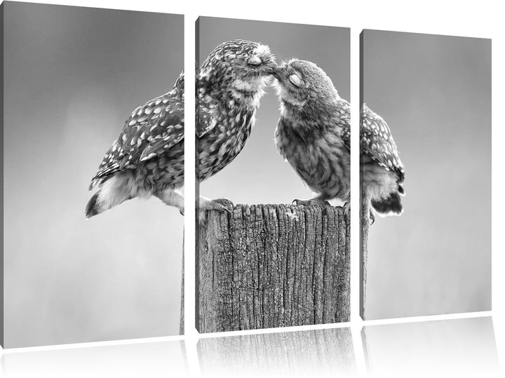 Pixxprint Küssende Eulen Kunst B&W als Leinwandbild/Grösse: 3 Teilig (120x80 cm) cm/Wandbild/Kunstdr