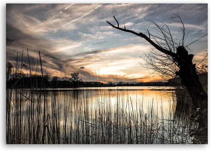 Feeby Leinwandbild Natur Bild Kunstdruck Landschaft Grau 70x50 cm