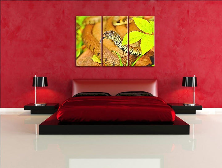 beeindruckende Schlange NewArt 3-Teiler Leinwandbild 120x80 Bild auf Leinwand, XXL riesige Bilder fe