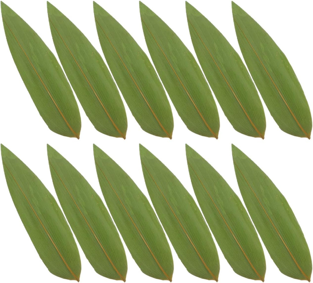 DOITOOL 100 Stück Sushi-Bambusblätter Bananenblätter Machen Zongzi-Kit Tellerdekorationen Urlaubspar