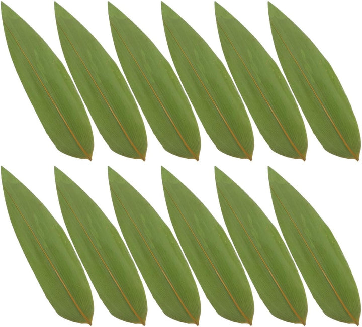 DOITOOL 100 Stück Sushi-Bambusblätter Bananenblätter Machen Zongzi-Kit Tellerdekorationen Urlaubspar
