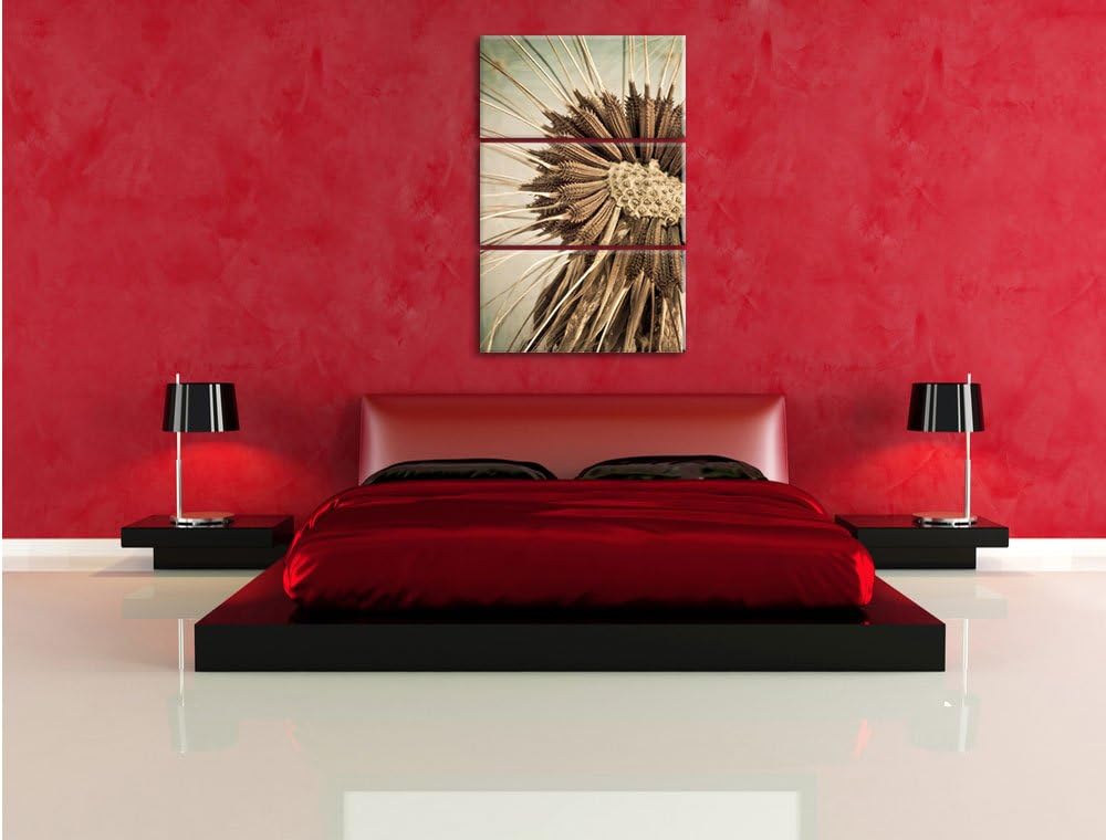 Pixxprint Vertrocknete Pusteblume als Leinwandbild/Grösse: 3 Teilig (120x80) cm/Wandbild/Kunstdruck/