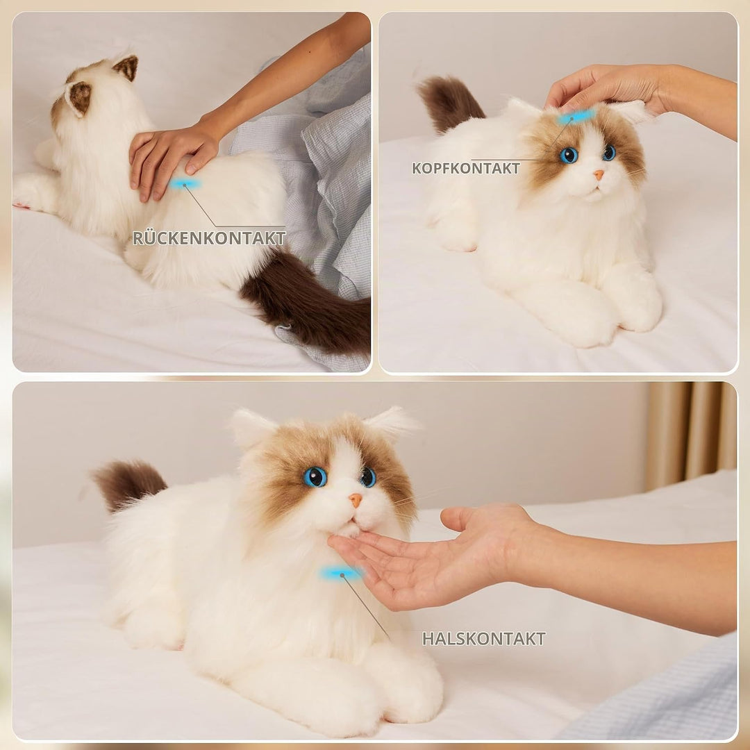 Chongker Interaktive Ragdoll Katze, Realistische Plüschkatze mit Miauen, Schnurren und Herzschlag, B