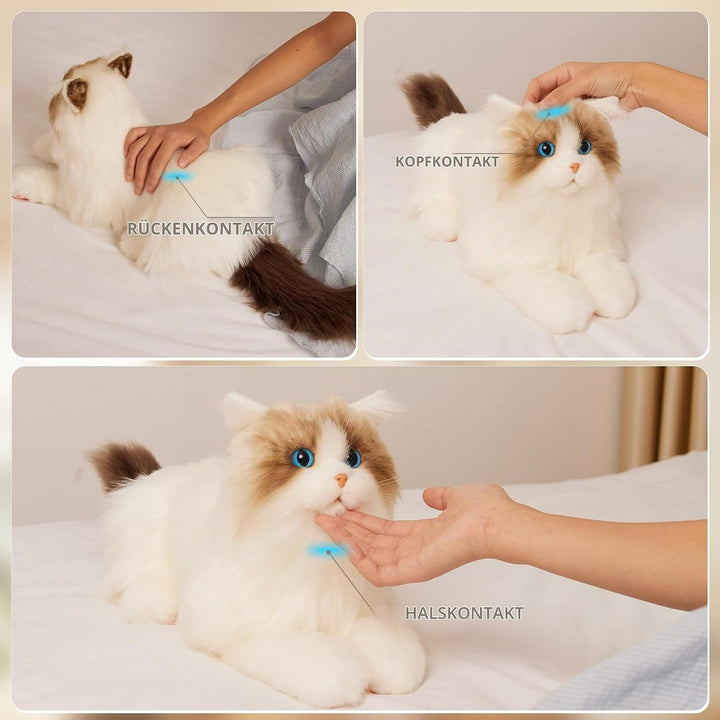 Chongker Interaktive Ragdoll Katze, Realistische Plüschkatze mit Miauen, Schnurren und Herzschlag, B