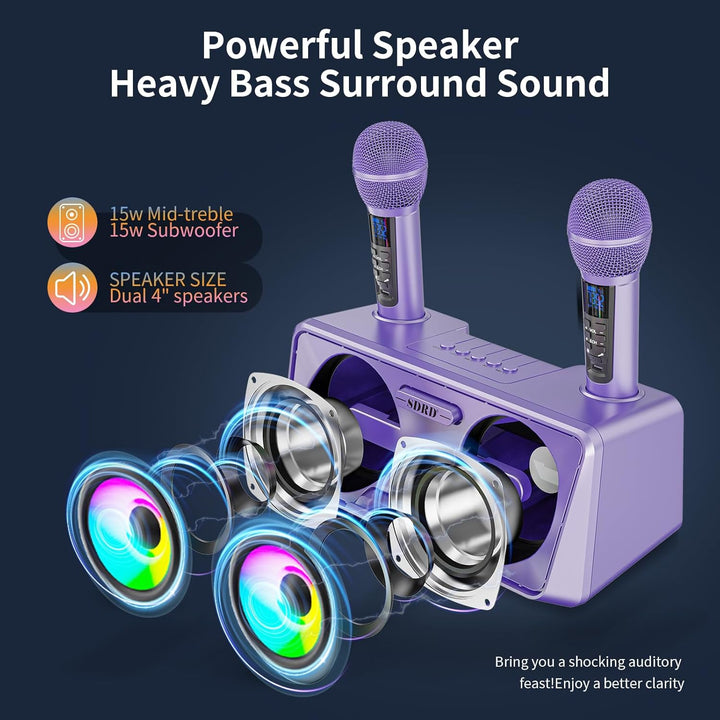 Karaoke Machine for Adults and Kids with 2 UHF Wireless Microphones, Portable Bluetooth Singing Spea