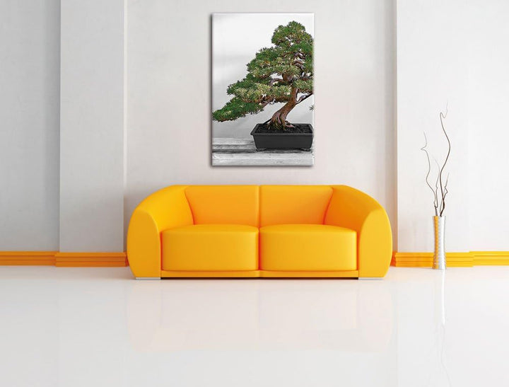 Pixxprint Bonsai Baum auf Holztisch als Leinwandbild/Grösse: 120x80 / Wandbild/Kunstdruck/fertig bes