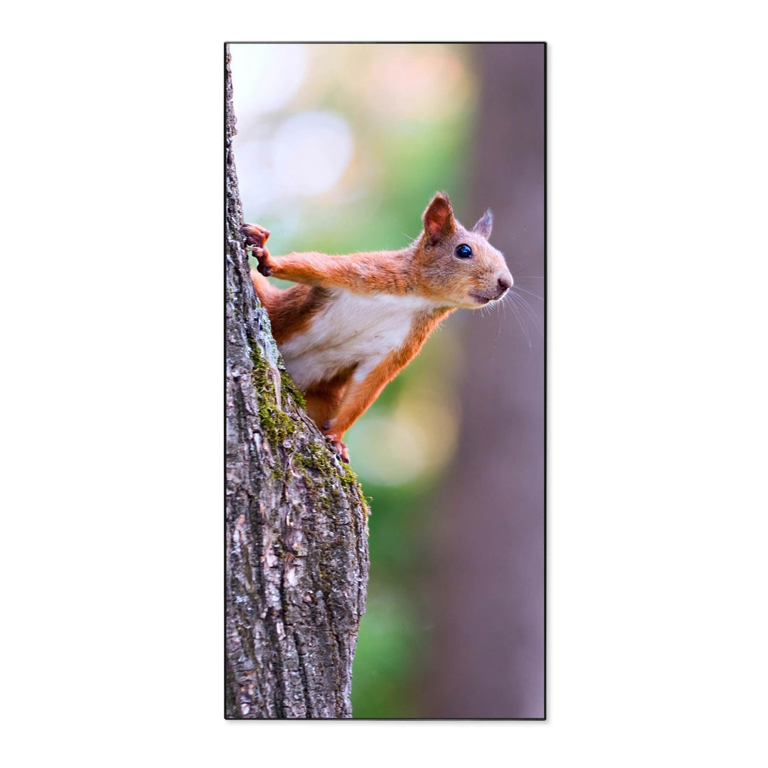 banjado® Magnettafel 37 x 78cm / Magnetwand aus Metall/Magnetpinnwand als Memoboard/Pinnwand Magnett