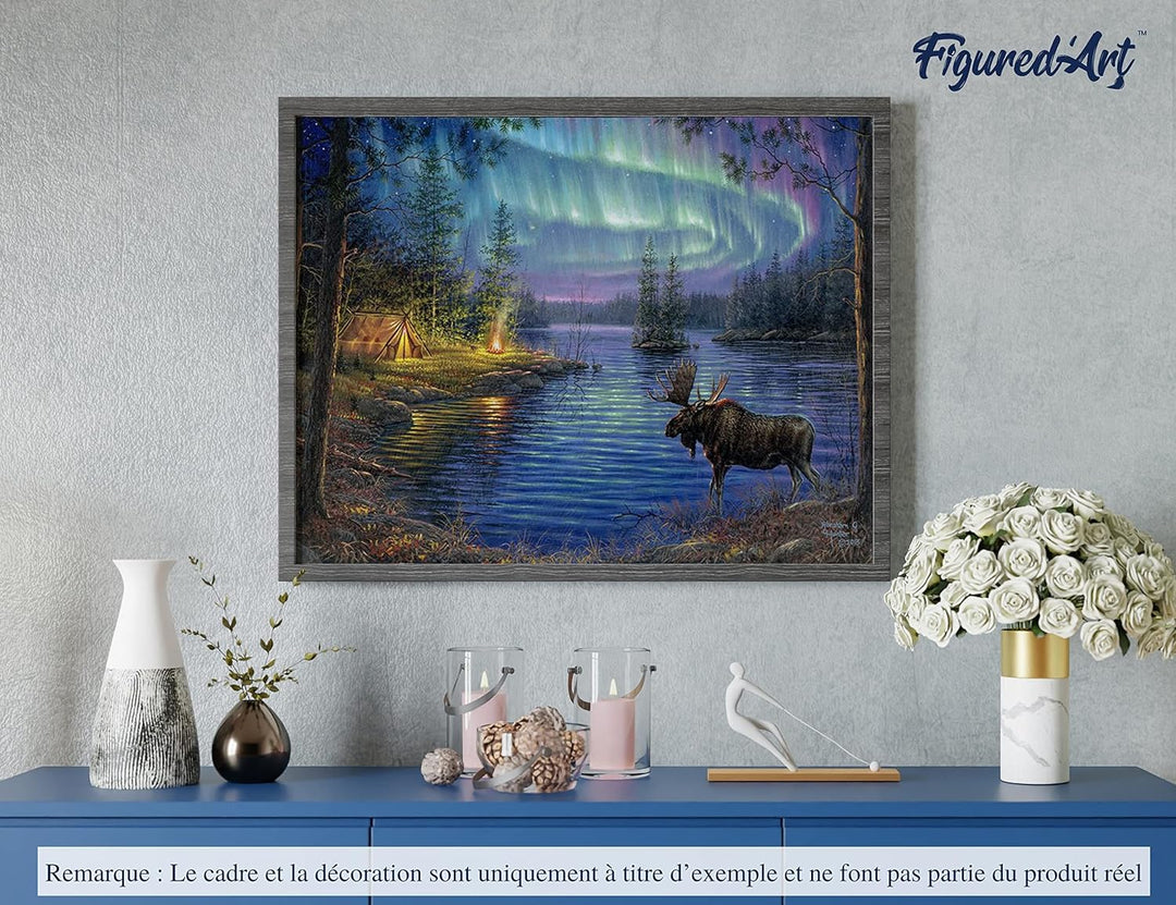 Figured'Art Malen Nach Zahlen Erwachsene Mit Rahmen Elch und Aurora Borealis - Paint by Numbers Bast