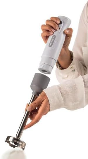 Ariete Breakfast 604 Stabmixer, Mini-Pürierstab mit 2 Geschwindigkeiten, Edelstahlklinge, Abnehmbare