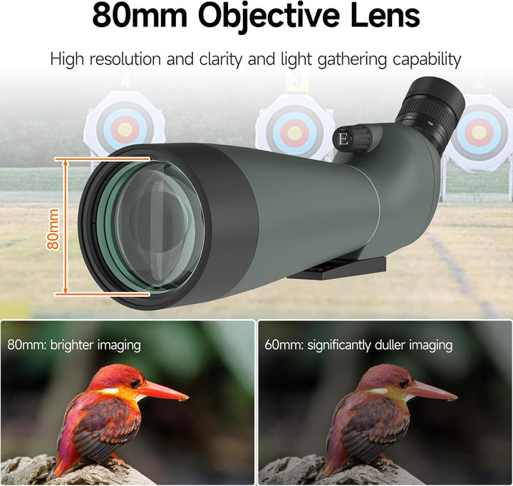 Svbony SV28 Spektiv mit Stativ 20-60x80, Spektiv Vogelbeobachtung Handy Adapter, BAK4 Prisma P65 Was