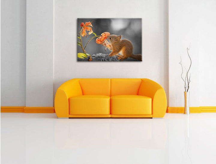 Pixxprint süsses Eichhörnchen riecht an Einer Blume B&W Detail, Format: 100x70 auf Leinwand, 100x70