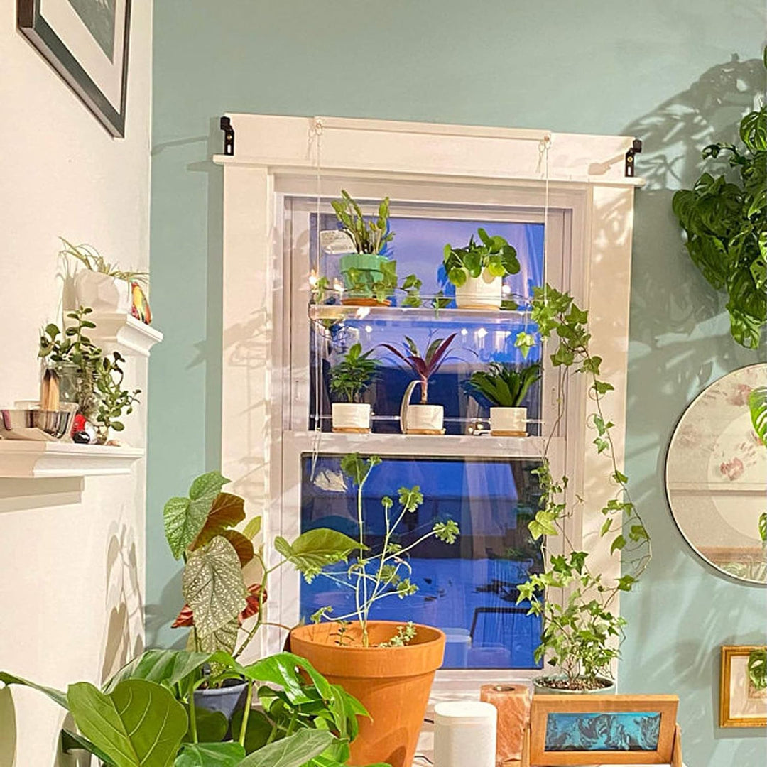 Fenster-Pflanzenregal, Durchsichtige Hängende Wandregale mit Seil, Kunststoff-Lagerregal für Pflanze