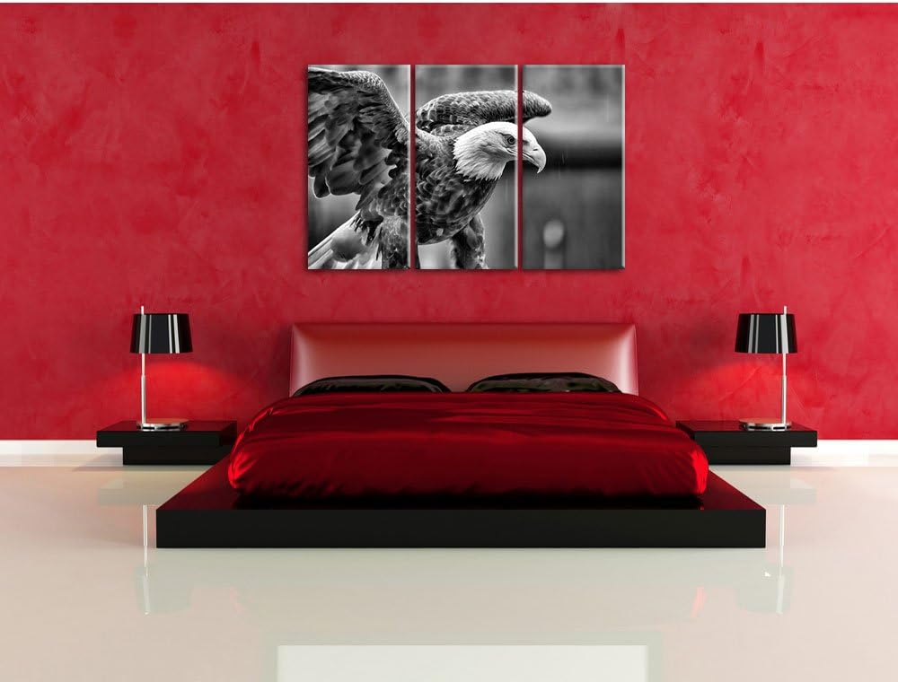 Pixxprint Adler als Leinwandbild | Grösse: 3 Teilig (120x80) | Wandbild| Kunstdruck | fertig bespann
