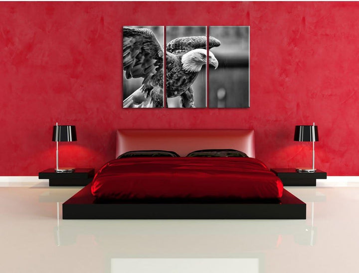 Pixxprint Adler als Leinwandbild | Grösse: 3 Teilig (120x80) | Wandbild| Kunstdruck | fertig bespann
