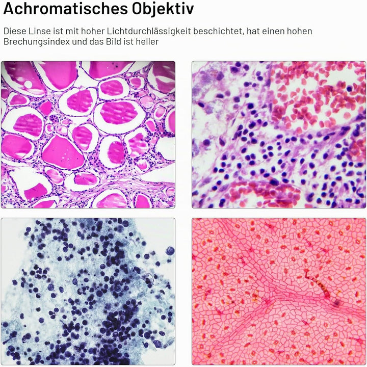 Achromatisches Objektiv Achromatisches Mikroskopobjektiv aus Messing Verchromtes 20X-Mikroskop-Objek